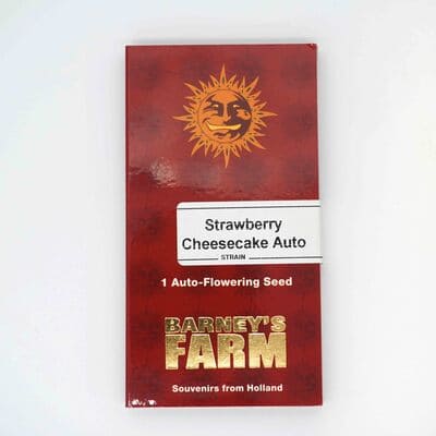Strawberry Cheesecake Auto > Barneys Farm | Autoflowering Cannabis   |  Hybrid